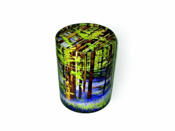 bluebell scatter tube